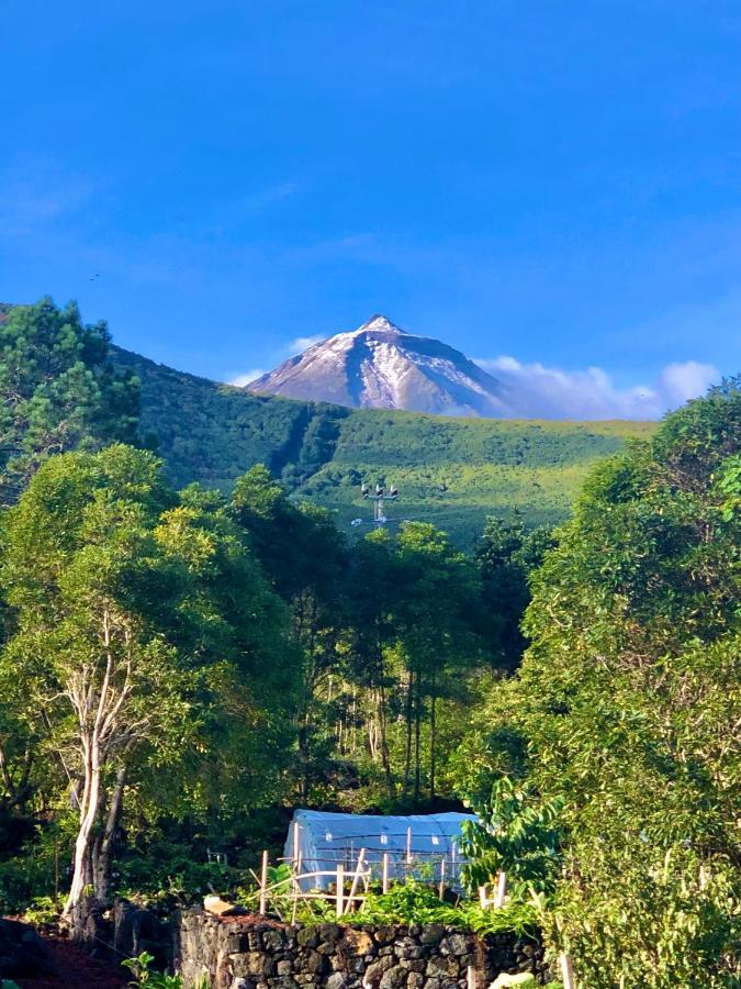 Quinta Pereirinha Farm - A Private 3 Bedroom Vacation Home, Close To Hiking W Ocean Views - Pico Island, Azores São Roque do Pico Exteriér fotografie