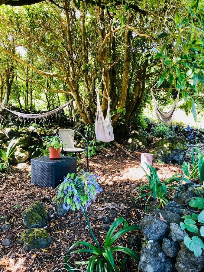 Quinta Pereirinha Farm - A Private 3 Bedroom Vacation Home, Close To Hiking W Ocean Views - Pico Island, Azores São Roque do Pico Exteriér fotografie